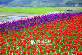 國家隊點名 余杭這個地方最新規(guī)劃來了