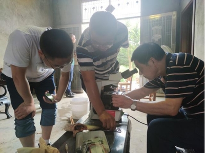 市老科協(xié)水產(chǎn)專家助力岳陽(yáng)5萬(wàn)畝鱸魚產(chǎn)業(yè)發(fā)展